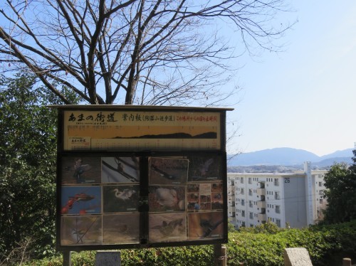 f0259373_16261481.jpg