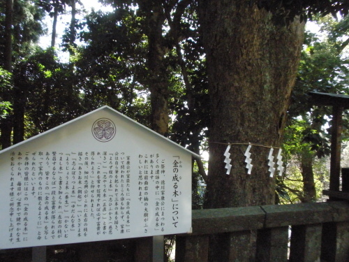 d0062076_14195786.jpg