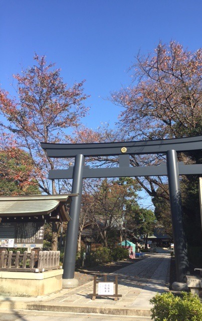 b0187479_2012395.jpg
