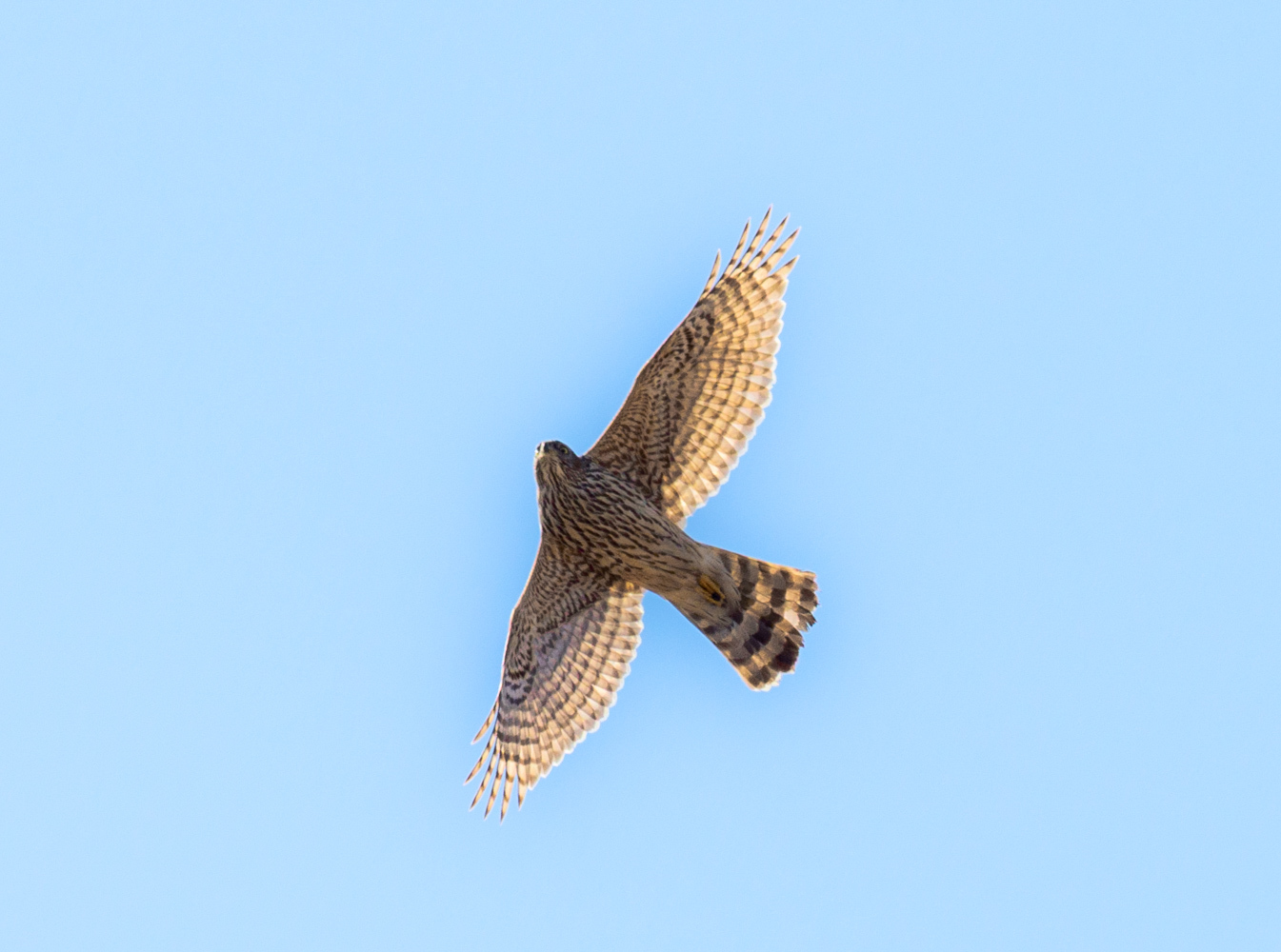 e0361379_18104256.jpg
