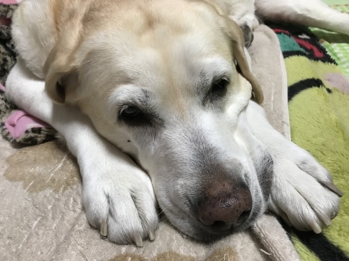 f0315081_22212093.jpeg