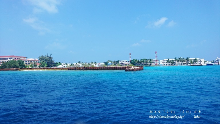 d0342382_11284025.jpg