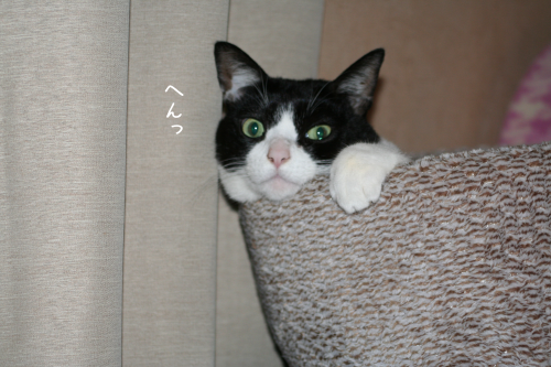 a0216583_10093050.png
