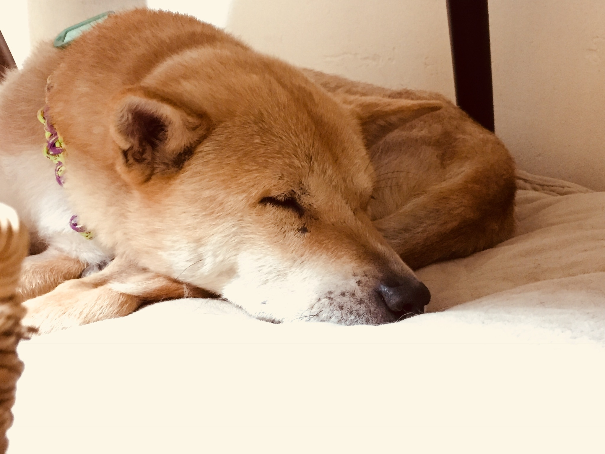 c0332184_18202913.jpeg