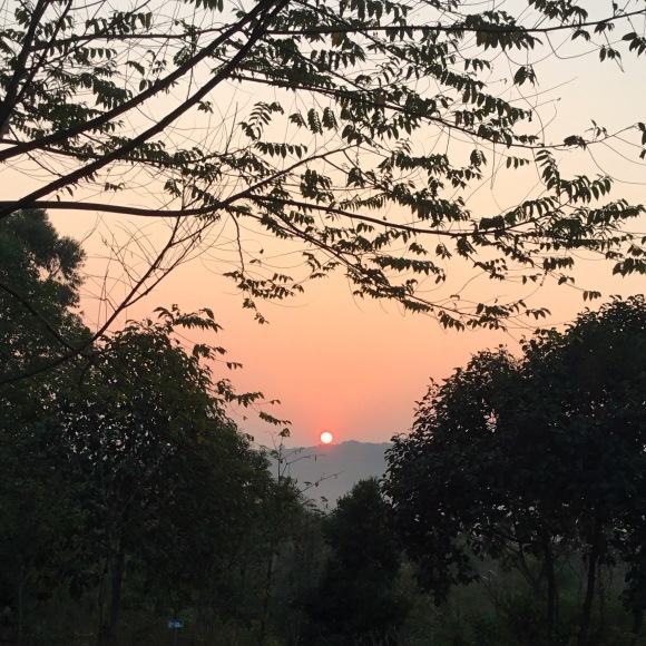c0010791_16111648.jpeg