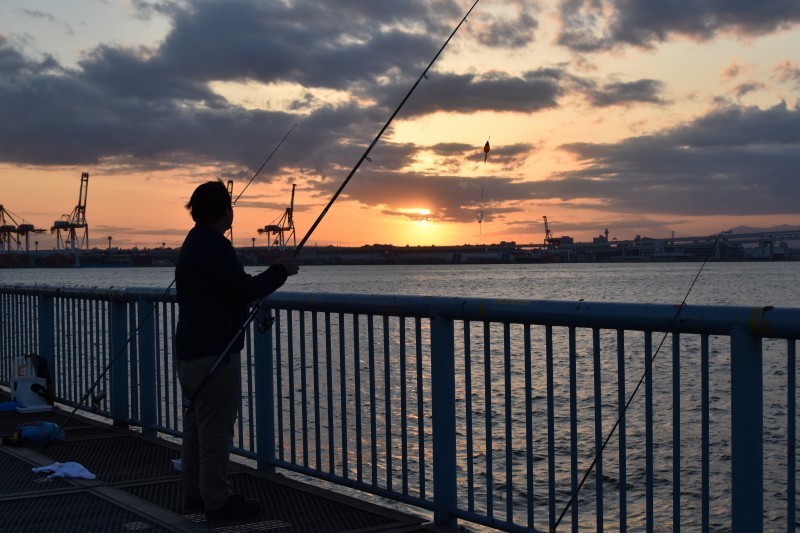 大黒海づり施設で午後釣り（・∋・）（・ω・）_b0013293_00315060.jpg