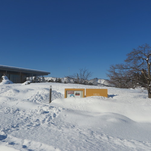 松岬公園からから米沢キャンパスへ、２月 ２０日・・・１_c0075701_13034437.jpg