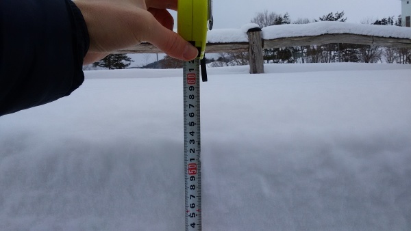 f0249602_07542778.jpg