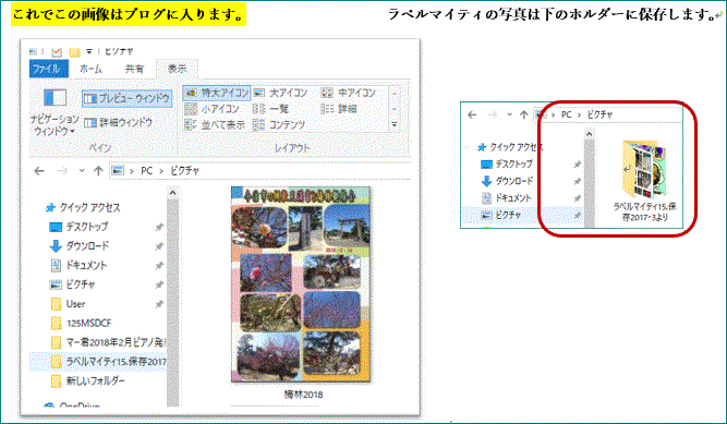f0231709_12452235.gif