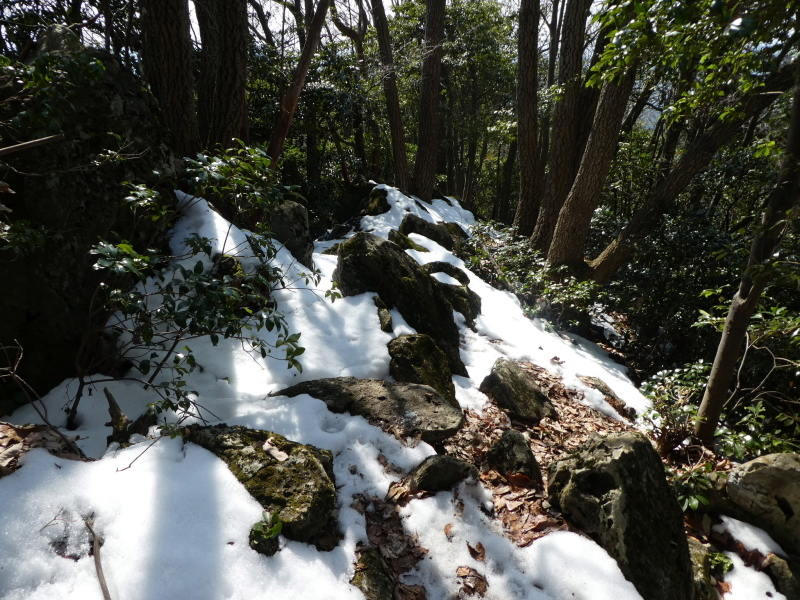 国旗たなびく　相戸岳 (671.7M) 登頂する_d0170615_19204898.jpg