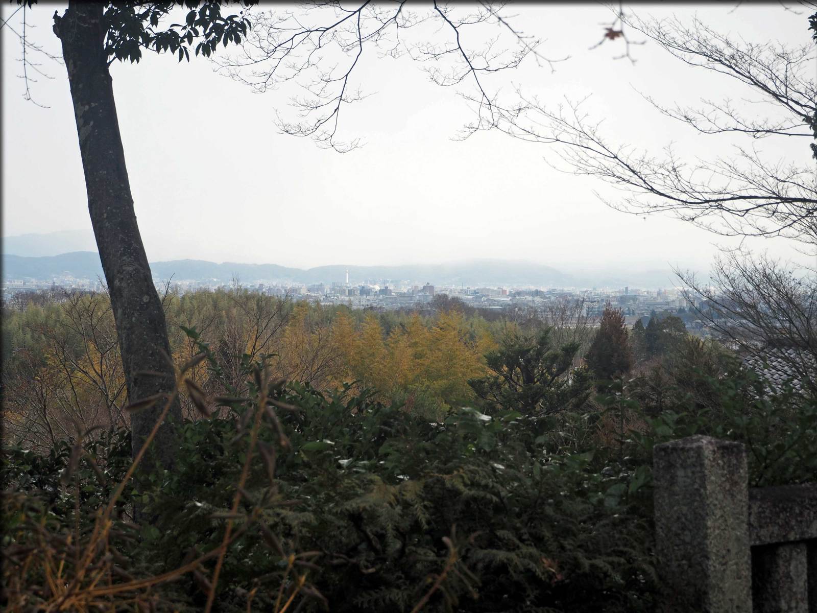 b0054329_08291760.jpg
