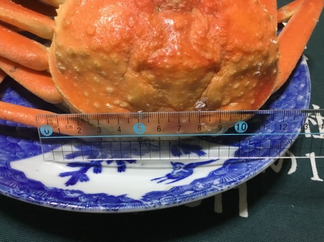 e0366033_13115661.jpeg