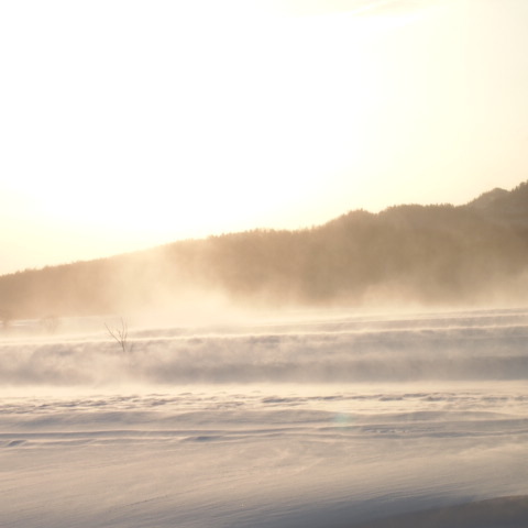 a0329935_17571024.jpeg