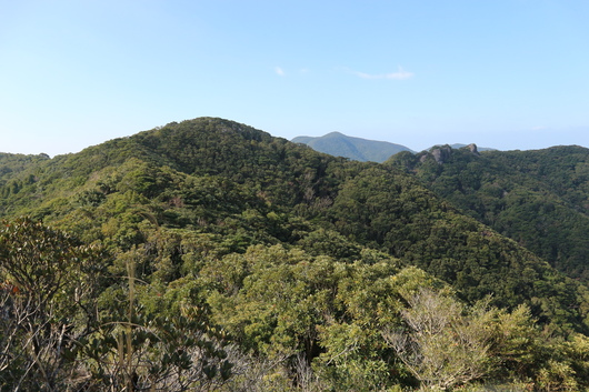 e0272335_5134435.jpg