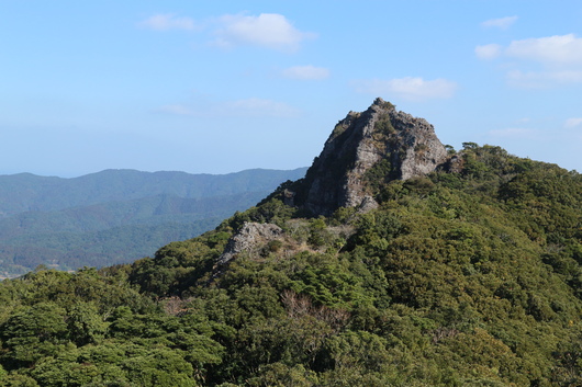 e0272335_522152.jpg