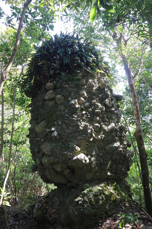 e0272335_5333470.jpg