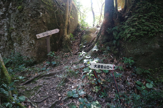 e0272335_5361346.jpg