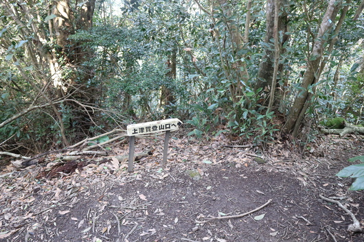e0272335_5373914.jpg