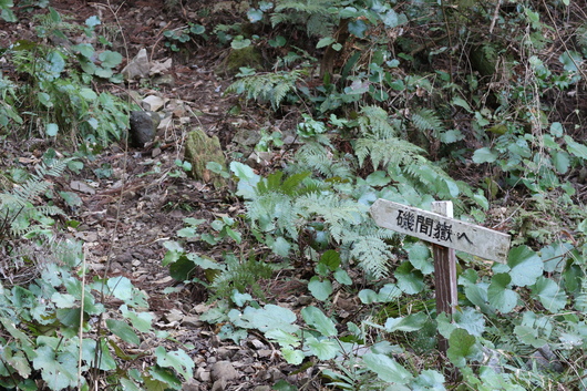 e0272335_8313125.jpg