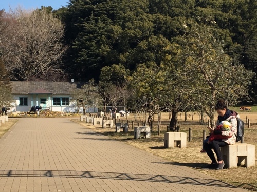 b0330040_22020199.jpeg