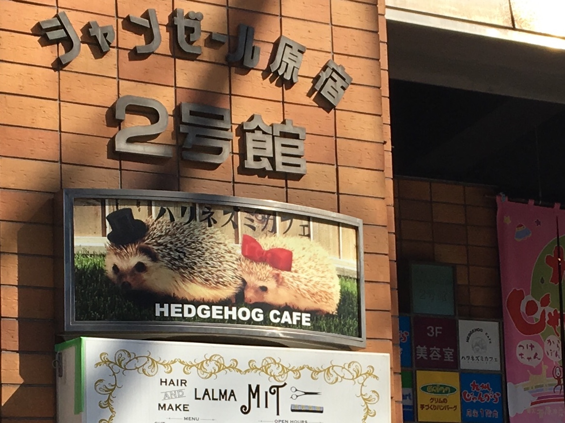 b0330040_22045318.jpeg