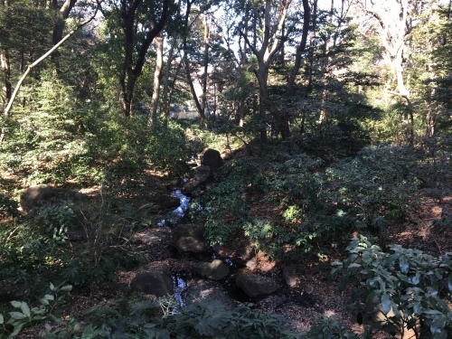b0330040_22151352.jpeg