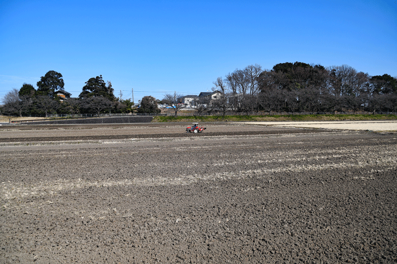 d0290240_09524666.gif