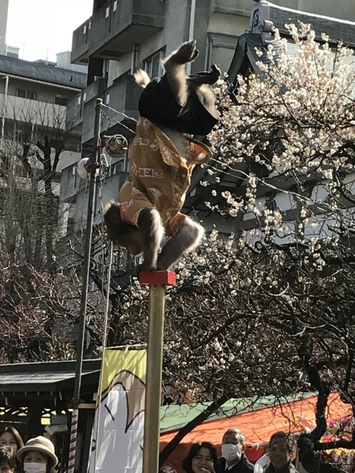 梅と一緒に&#127802;_f0140343_10184883.jpeg