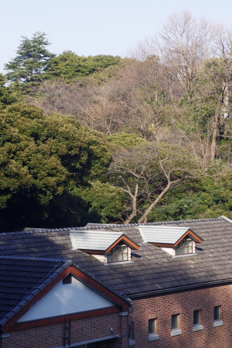 d0185744_17045205.jpg