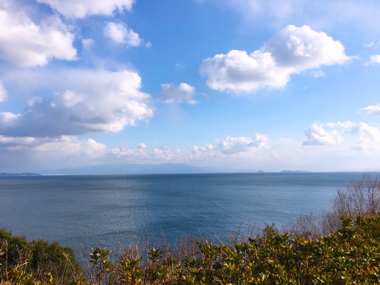 f0191444_11541471.jpg