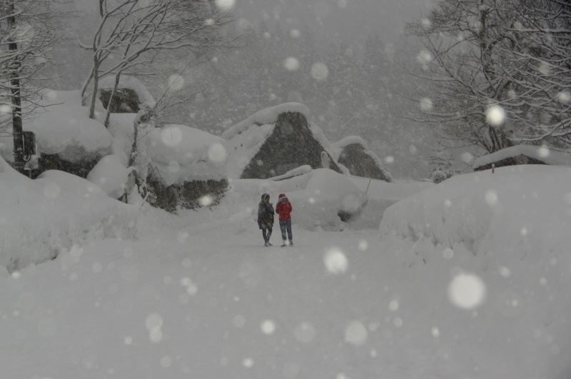 雪の白川郷_c0238352_21572999.jpg