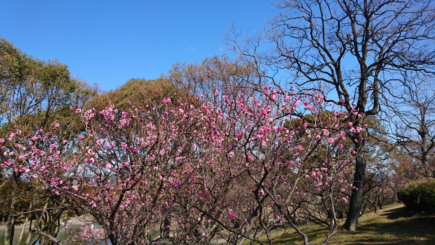 f0320853_1215862.jpg