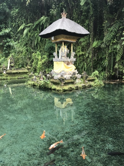 b0146659_15302551.jpeg