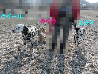 そんなに冷え性だったっけ_d0353074_16594322.jpg