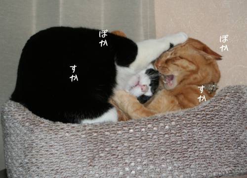 a0216583_10353235.png