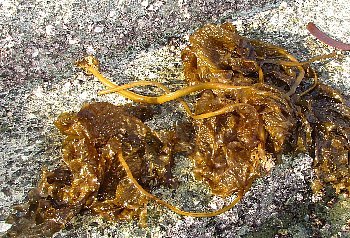 f0003283_20424143.jpg