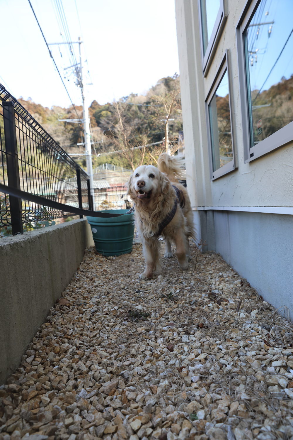 ポカポカ陽気で、沢山食べました♪_b0275998_15205961.jpg