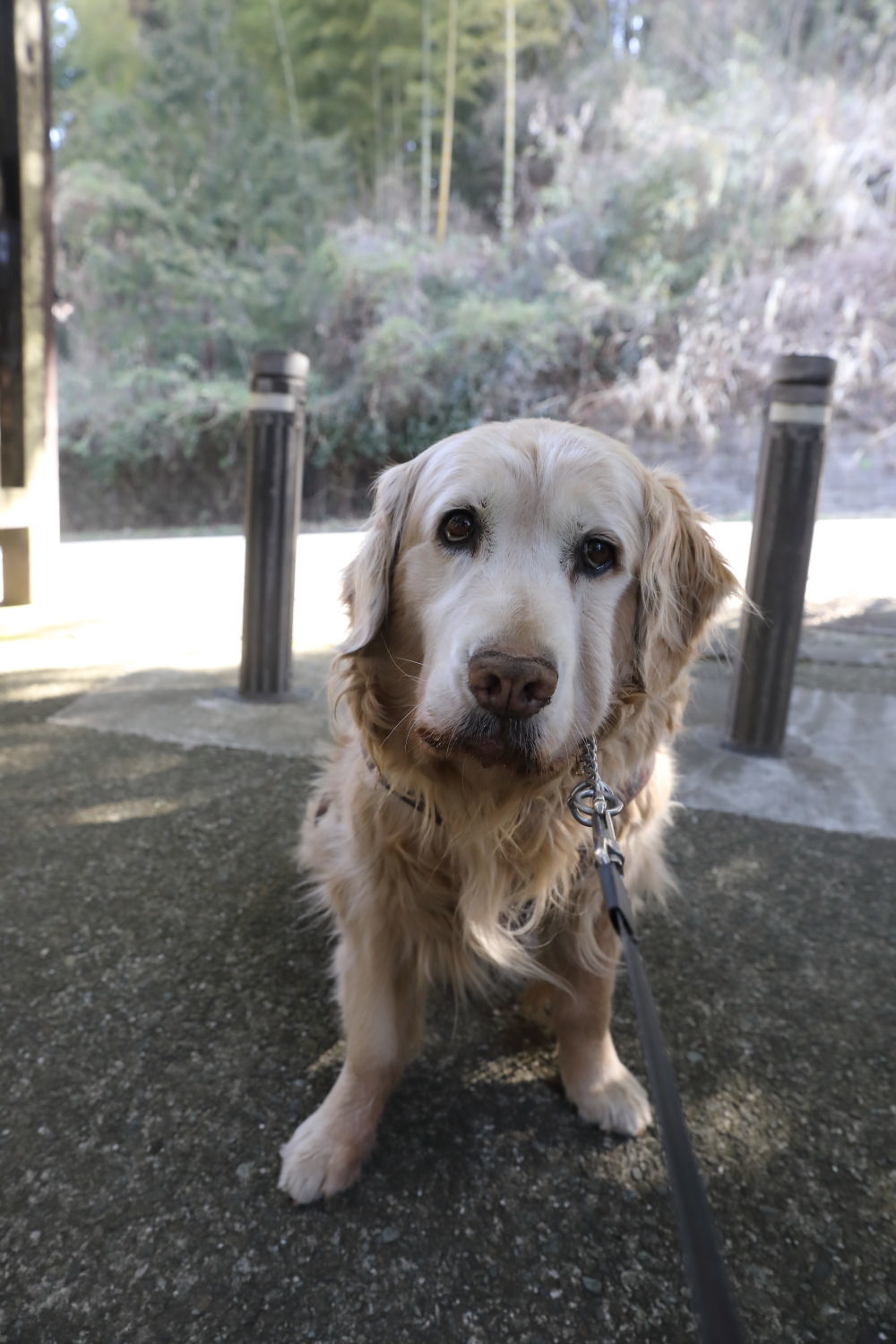 ポカポカ陽気で、沢山食べました♪_b0275998_15221886.jpg