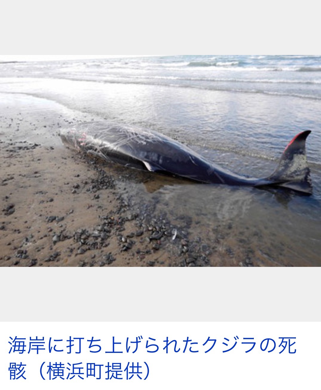 b0301400_20311022.png