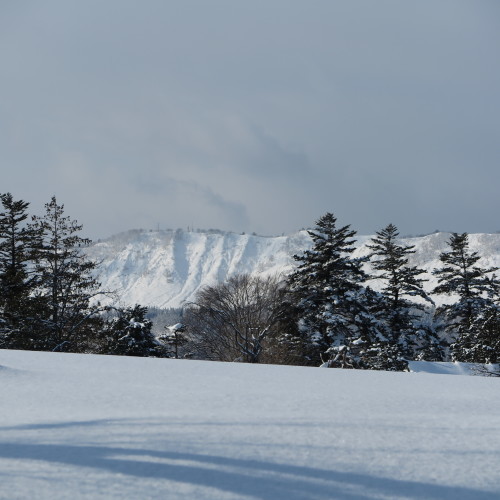 松岬公園からから米沢キャンパスへ、２月 ２７日・・・１_c0075701_16382695.jpg