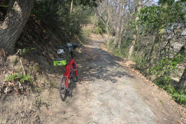 火曜定休日サイクリング_c0132901_19332190.jpg