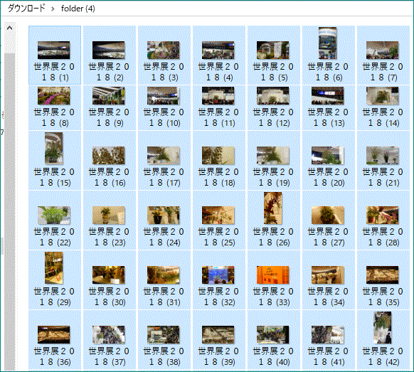 f0231709_04425864.gif