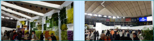 f0231709_04594015.gif