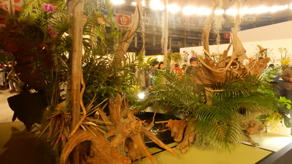 f0231709_08151440.jpg