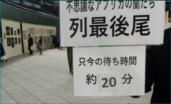 f0231709_08484507.gif