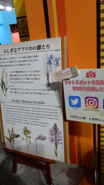 f0231709_08560916.jpg