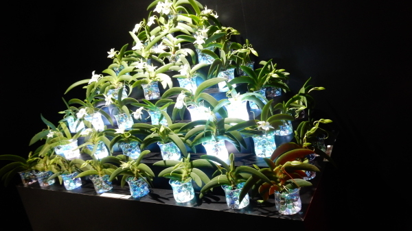 f0231709_08592430.jpg