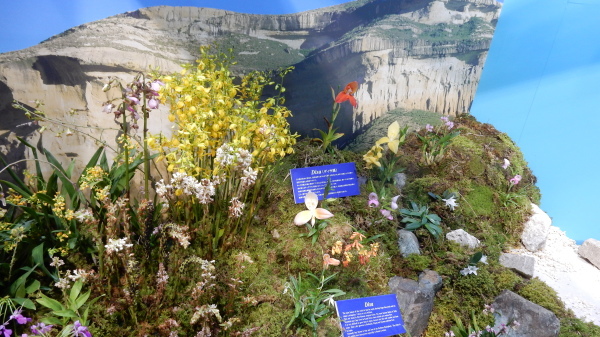 f0231709_09043207.jpg