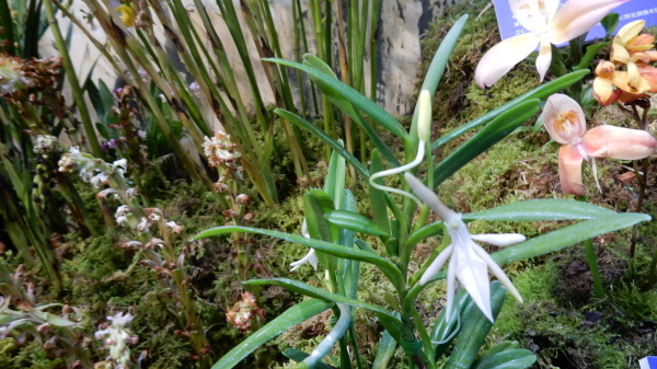 f0231709_09051704.jpg