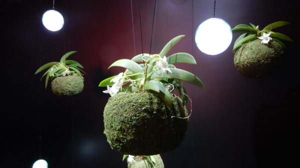 f0231709_09055739.jpg